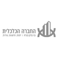 כלכלית